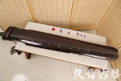 上海小白学古琴不会指法字符，一招带你玩转古琴20240429